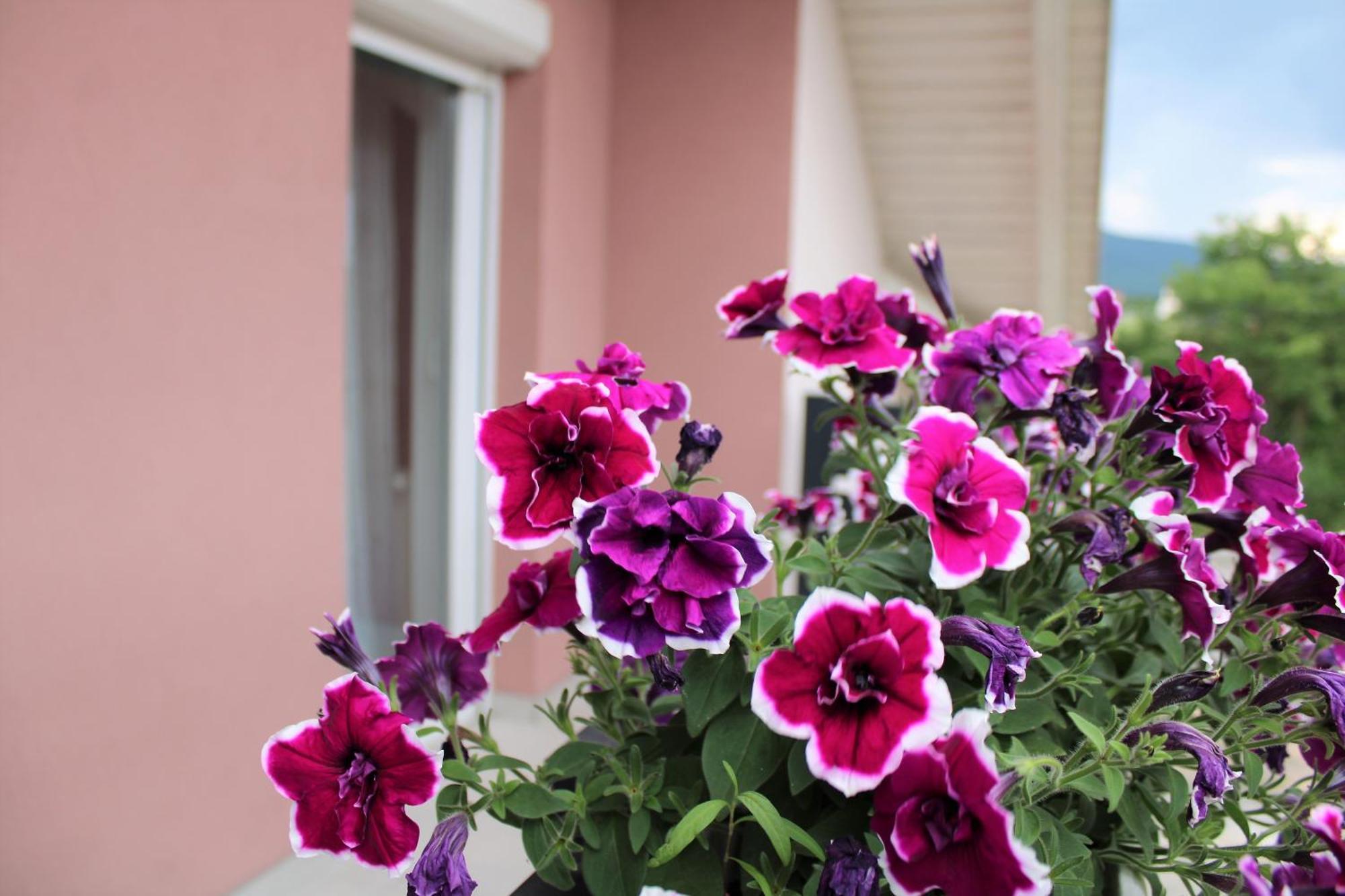 Apartman Swans Otočac Buitenkant foto